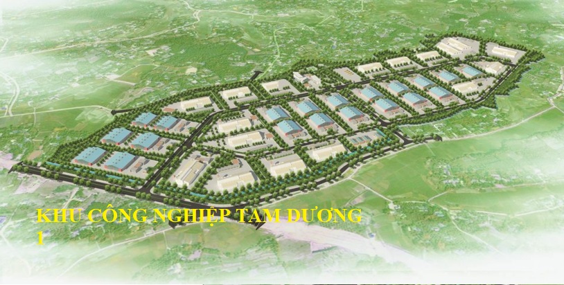 Khu công nghiệp Tam Dương 1 – Vĩnh Phúc  