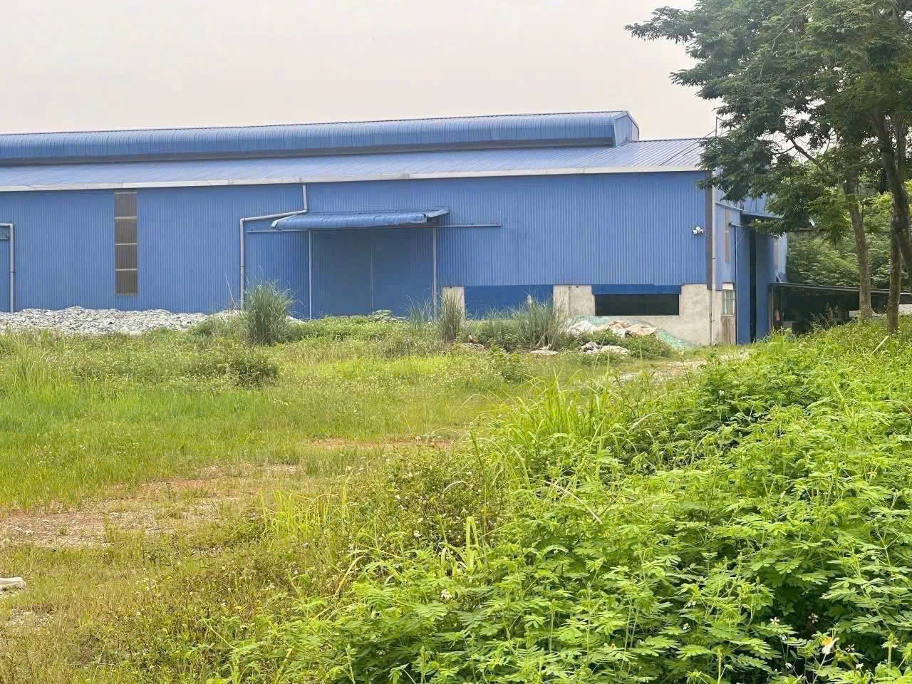 Chuyển nhượng lô đất doanh nghiệp, đất sản xuất 1,1ha SẴN NHÀ XƯỞNG tại Định Trung, Phú Thọ (Vĩnh Phúc cũ)