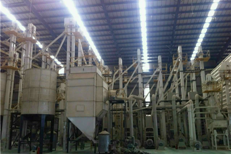 Sang nhượng 14,3 ha đất nhà máy gạo xuất khẩu tại Long An