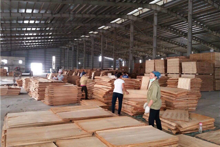 Chuyển nhượng dự án nhà máy sản xuất gỗ ván ép cạnh trục đường cao tốc Lào Cai